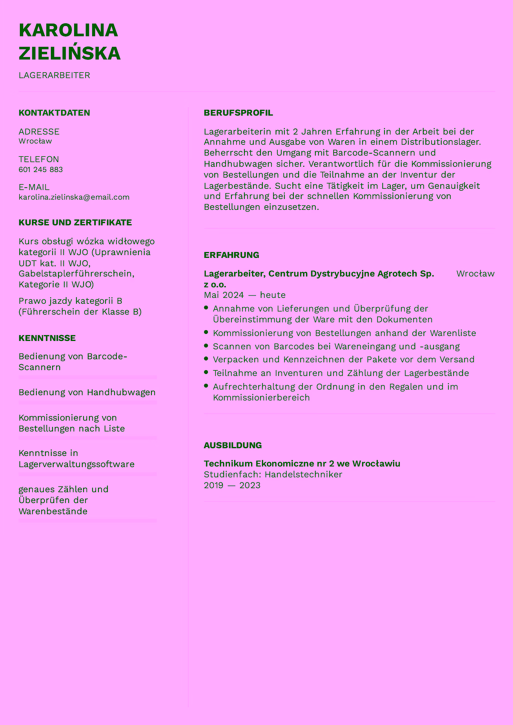 CV po niemiecku, angielsku i niderlandzku — wzór CV magazyniera w wersji niemieckiej