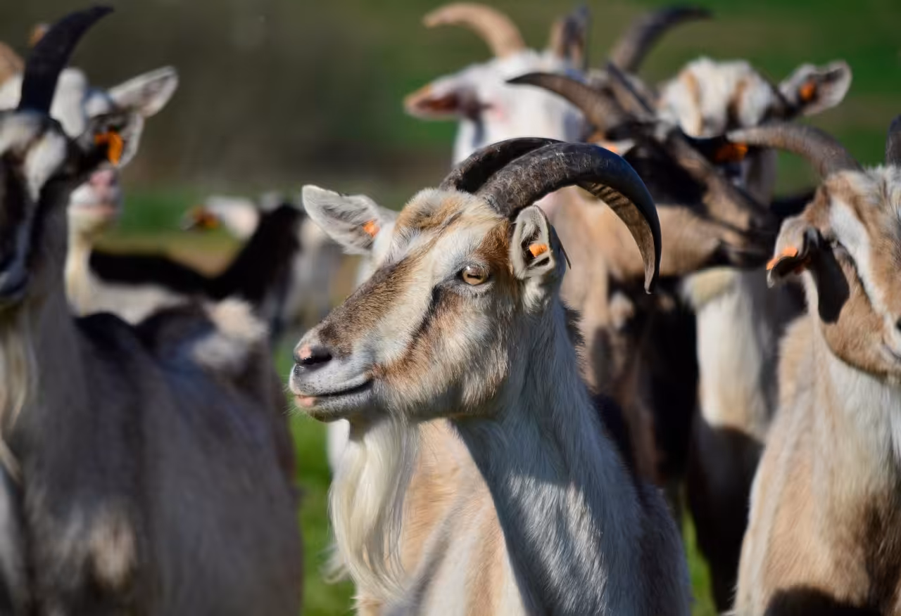 Zespół współpracujący w dobrej atmosferze