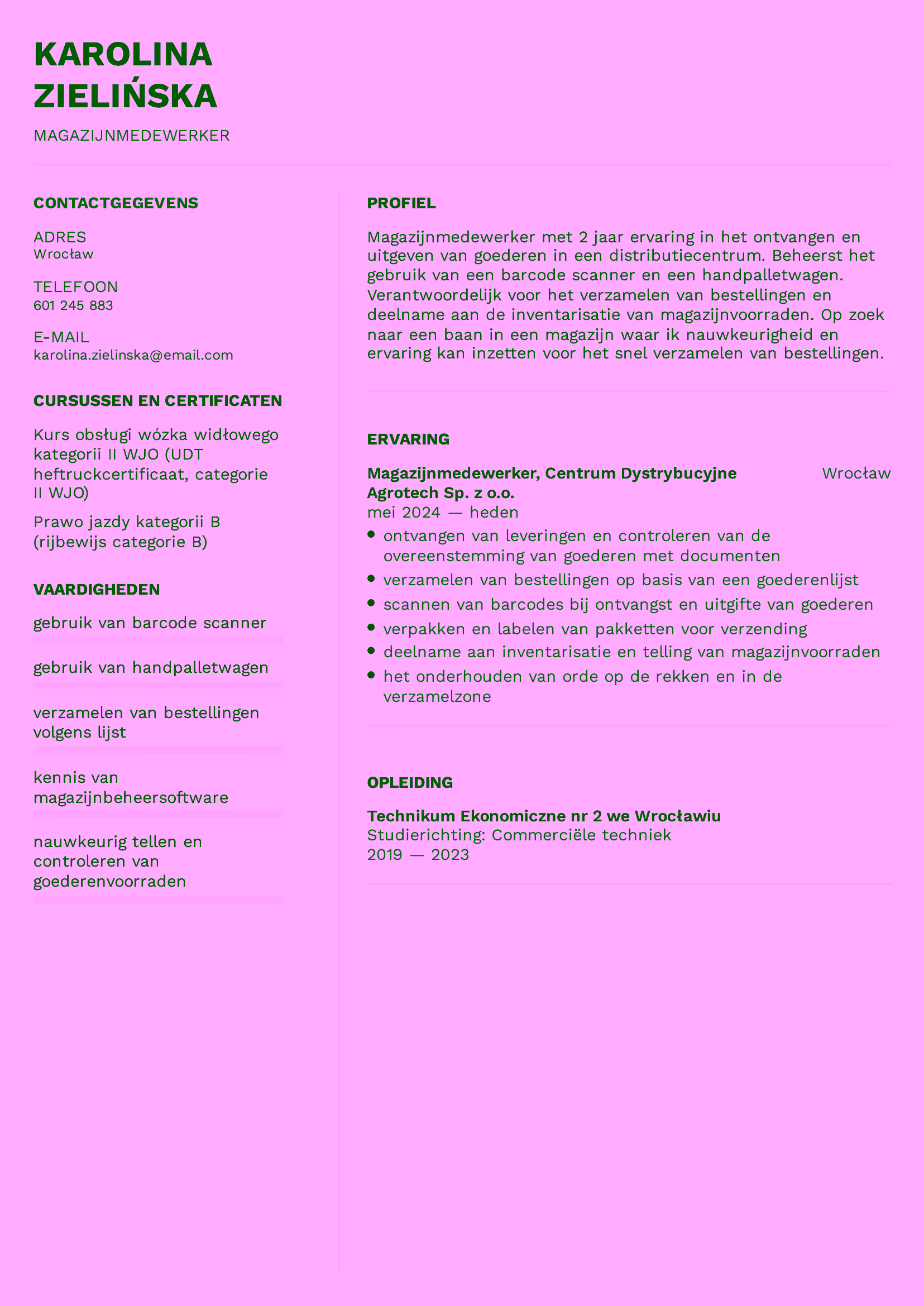 To samo CV po niderlandzku — magazijnmedewerker, profiel, ervaring, opleiding