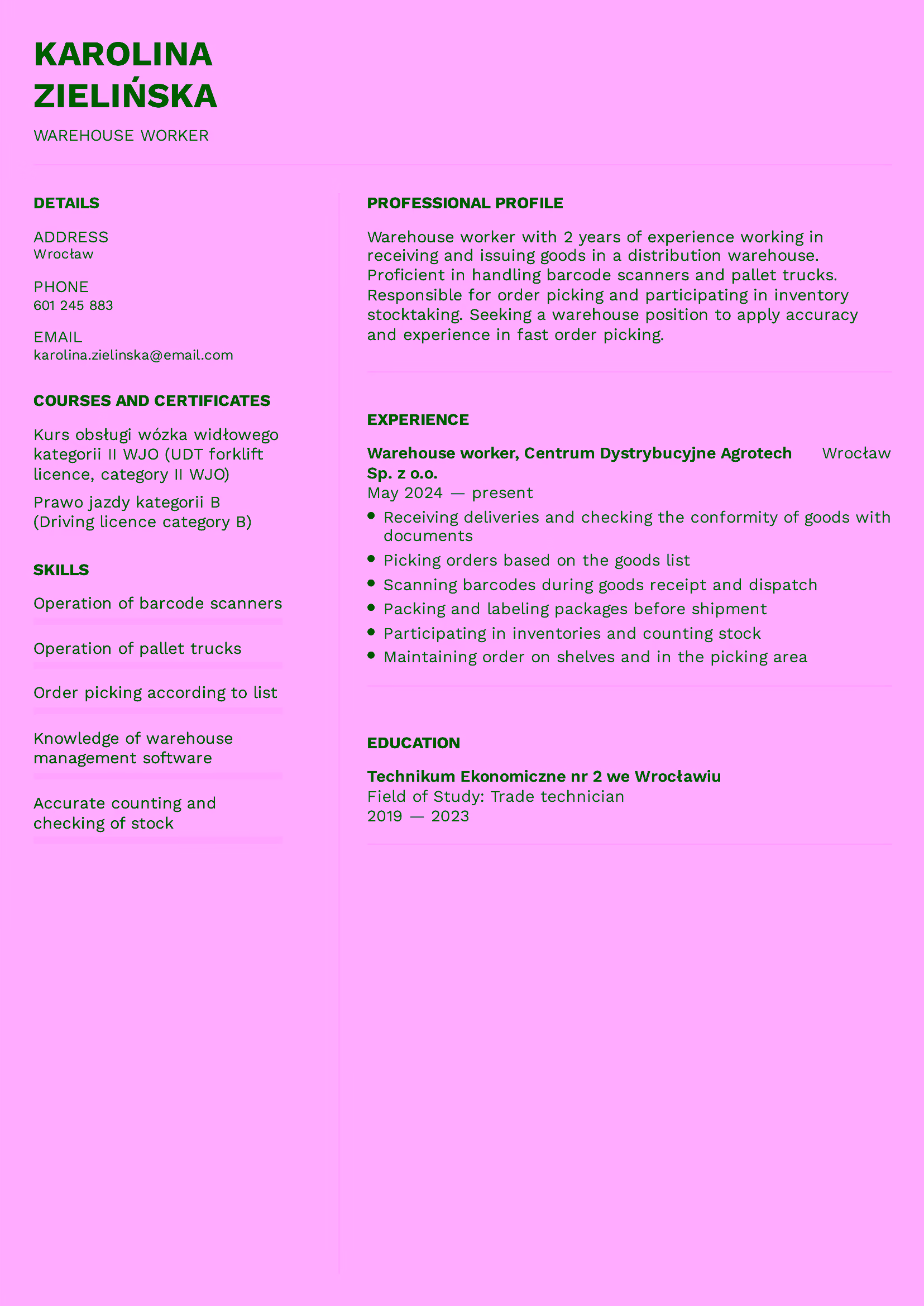 To samo CV po angielsku — warehouse worker, professional profile, experience